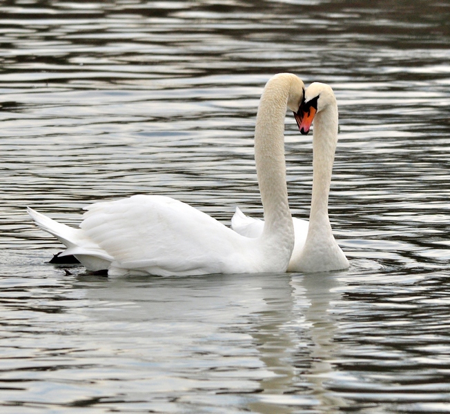 Approcio un p� forte!